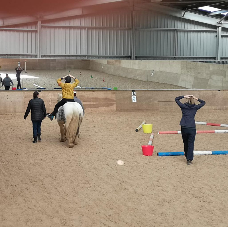 Riding Lessons
